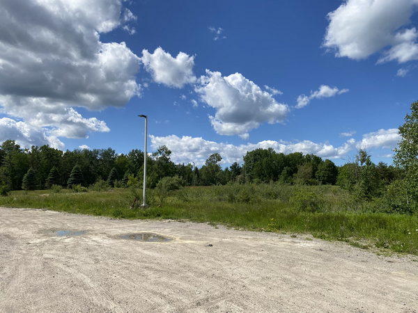 Tawas Drive-In Theatre - June 17 2022 Photo